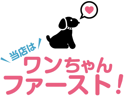 わんわんファースト